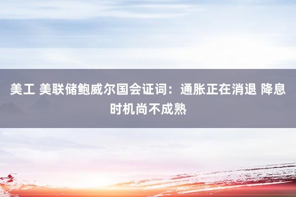 美工 美联储鲍威尔国会证词：通胀正在消退 降息时机尚不成熟